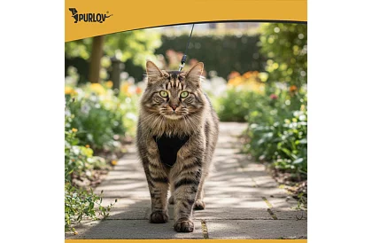 Ham strâns fără presiune pentru câini și pisici cu lesă – Mărimea M