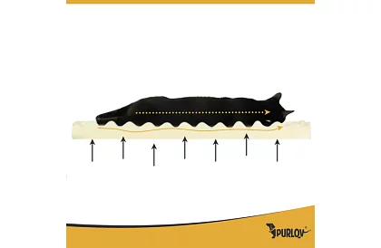 Pelec ortopedic 65 × 55 × 18 cm – S