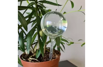 Bile de udare pentru plante – 8 bucăți