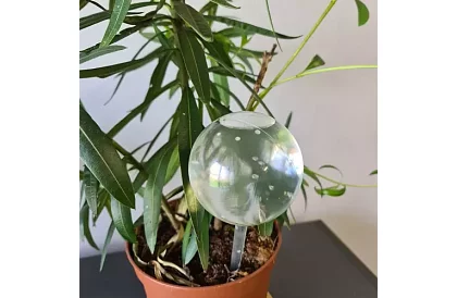 Bile de udare pentru plante – 8 bucăți