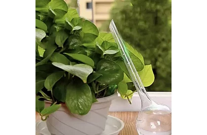 Bile de udare pentru plante – 8 bucăți