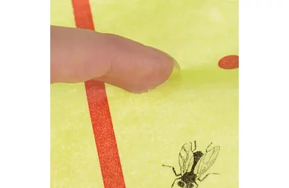 Lepitor de insecte, rolă 25 × 1000 cm – lipici pentru muște