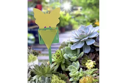 Lepci pentru insecte Repest – 12 bucăți