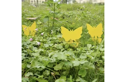 Lepci pentru insecte Repest – 12 bucăți