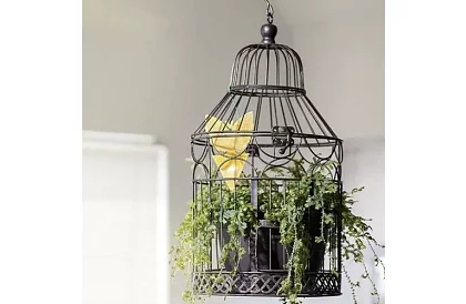 Lepci pentru insecte Repest – 12 bucăți