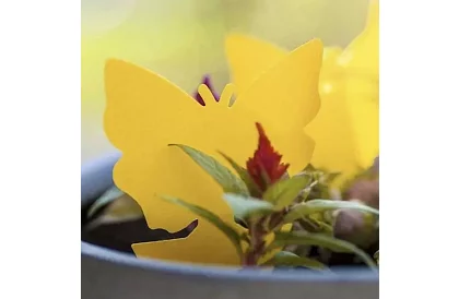 Lepci pentru insecte Repest – 12 bucăți