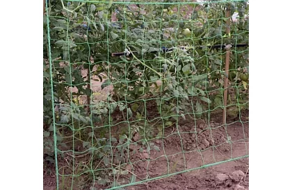 Suport de rețea pentru plante 2x20 m