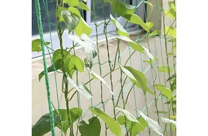 Suport de rețea pentru plante 2x20 m