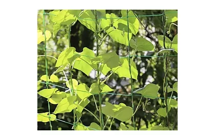 Suport de rețea pentru plante 2x20 m