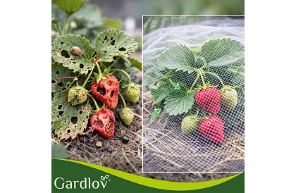 Rețea de protecție pentru grădină 3 × 6 m