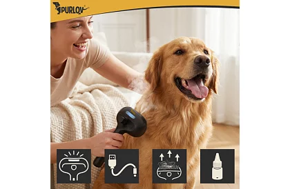 Perie electrică de abur – reîncărcabilă