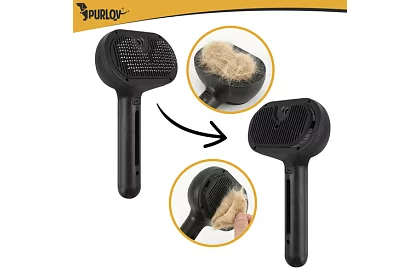 Perie electrică de abur – reîncărcabilă