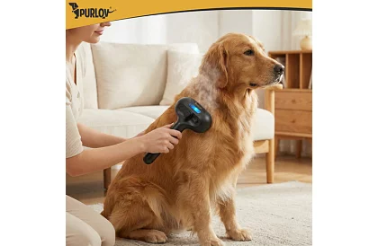 Perie electrică de abur – reîncărcabilă