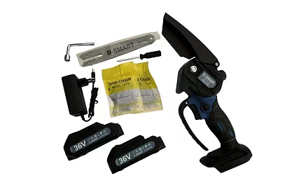 Drujbă cu acumulator DS36 + 2 baterii + 2 lanțuri