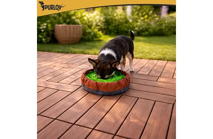 Mata de miros  sniff mat 48 cm – jucărie interactivă pentru recompense