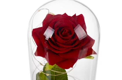 Trandafir etern în sticlă cu iluminare LED