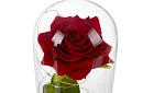 Trandafir etern în sticlă cu iluminare LED
