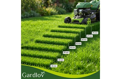 Mașina de tuns iarba pe benzină DriveX PRO cu motor de 196 cm³, 3,4 kW, 51 cm, coș de 60 l