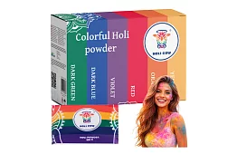 Set de pulberi colorate Holi Powder 6×100 g