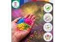 Set de pulberi colorate Holi Powder 6×100 g