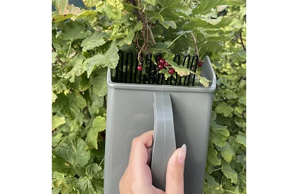 Pieptene pentru afine – culegător manual de fructe