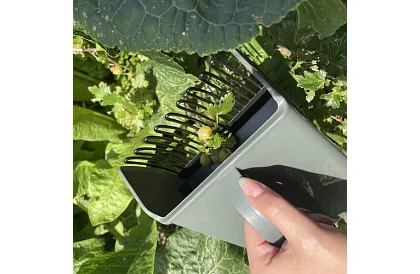 Pieptene pentru afine – culegător manual de fructe