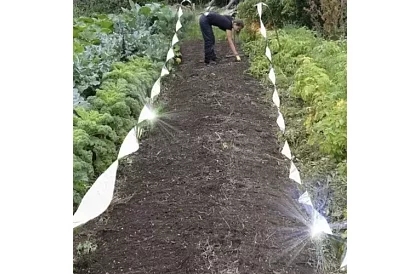 Bandă holografică pentru sperierea păsărilor 50 m