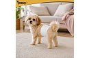 Păturile absorbante pentru câini 12 buc S-M – pentru câini 30–46 cm