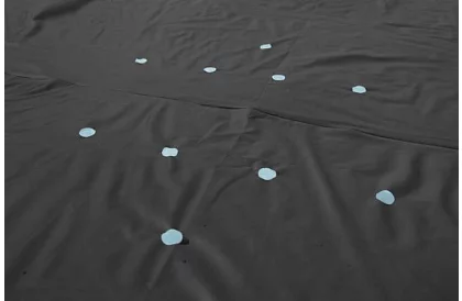 Culoare pentru piscină rotundă 244 cm B58032