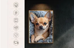 Mazlivă companie - imagine - Câinele chihuahua drăguț în pătuțul moale 17