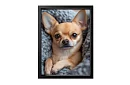 Mazlivă companie - imagine - Câinele chihuahua drăguț în pătuțul moale 17