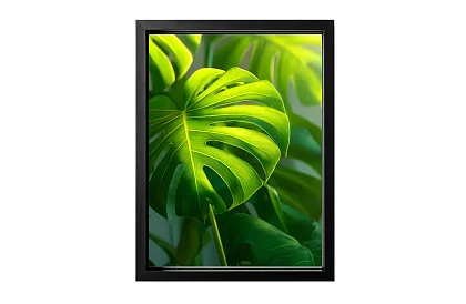 Frunza tropicală - imagine - Monstera în stil natural modern 45