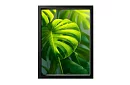 Frunza tropicală - imagine - Monstera în stil natural modern 45