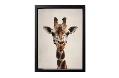 Privire delicată - tablou - Portret minimalist al unei girafe 48