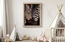 Proximitatea naturii - imagine - Zebra cu pui în detaliu 55