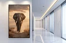 Forța naturii - imagine - Elefant în mișcare pe savană 59