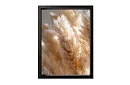 Natura delicată - pictură - Iarbă de pampas în tonuri calde 58
