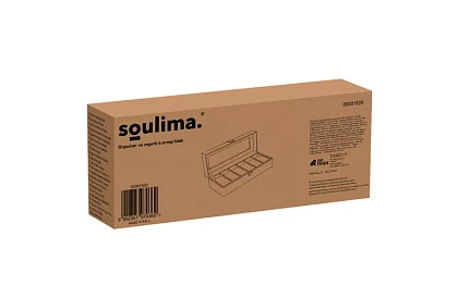 Organizator pentru 6 ceasuri și bijuterii cu capac transparent
