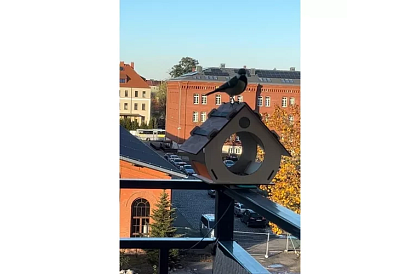 Hrănitoare din lemn DIY pentru păsări de asamblat și vopsit