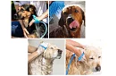 Duș de mână, cu masaj, pentru câini, pisici și alte animale