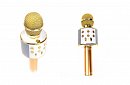 Microfon karaoke wireless bluetooth