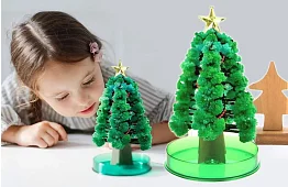 Pom de Crăciun - înflorește fermecător