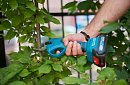 Foarfecă de grădină, fără fir - 2 baterii, geantă și accesorii incluse