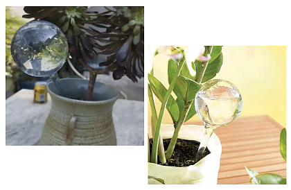 Bile de irigare pentru plante – set de 8 bucăți