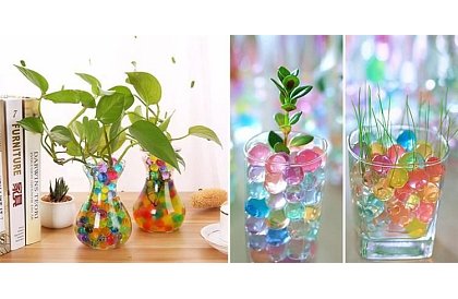 Perle de gel hidratant multicolor 20 x 5g