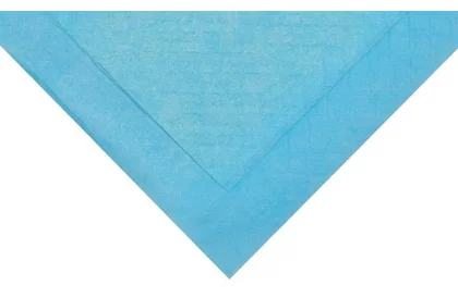 Absorbant igienic - set de 50 buc.