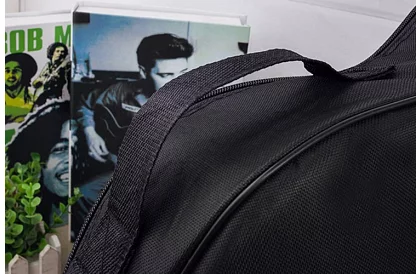 Husă pentru chitară