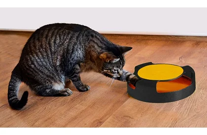 Jucărie pentru pisică