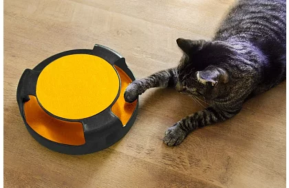 Jucărie pentru pisică