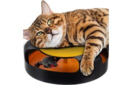 Jucărie pentru pisică